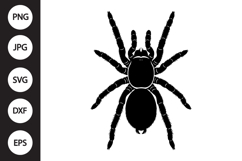 Tarantula SVG Product Image 1