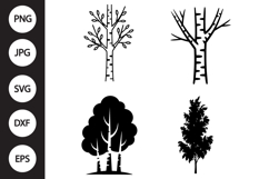 Birch Tree SVG, Birch Tree Clipart Product Image 1