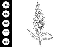 Outline Foxglove Flower SVG Product Image 1