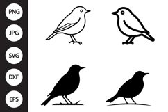 Robin Bird SVG, Robin Bird Clipart Product Image 1