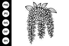 Outline Wisteria Flower SVG Product Image 1