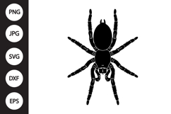 Tarantula SVG Product Image 1