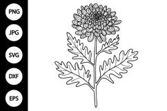 Outline Chrysanthemum Flower SVG Product Image 1