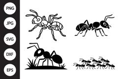 Ant SVG, Ant Clipart Product Image 1