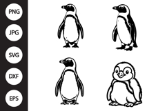 African Penguin SVG, African Penguin Clipart Product Image 1