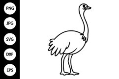 Outline Doodle Ostrich SVG, Coloring Page Product Image 1