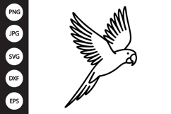 Parrot SVG Product Image 1