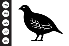 Partridge Bird SVG Product Image 1
