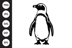 African Penguin SVG Product Image 1