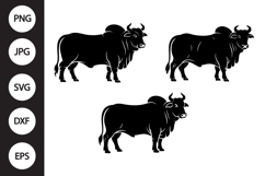 Brahman Bull SVG, Brahman Bull Clipart Product Image 1