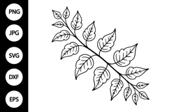 Outline Vine SVG, Coloring Page Product Image 1