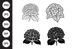 Hydrangea SVG, Hydrangea Clipart Product Image 1