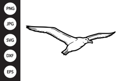 Albatross Bird SVG Product Image 1