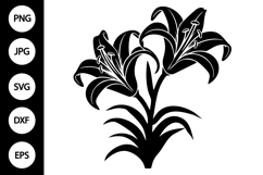 Silhouette Lily SVG Product Image 1