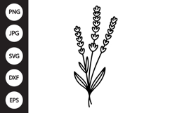 Lavender Botanical SVG Product Image 1