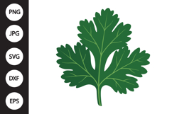 Cilantro SVG Product Image 1