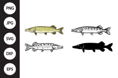 Northern Pike SVG, Northern Pike Clipart Product Image 1