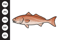 Redfish SVG Product Image 1