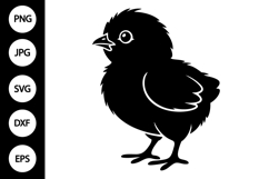 Chick SVG Product Image 1