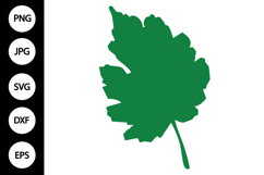 Leaf SVG Product Image 1