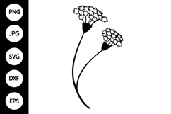 Outline Babys Breath Flower SVG Product Image 1
