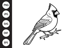 Cardinal Outline SVG, Coloring Page Product Image 1