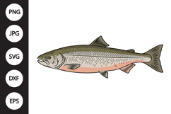 Salmon Fish SVG Product Image 1