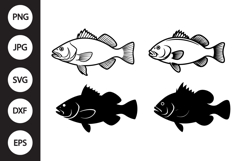 Black Drum Fish SVG, Black Drum Fish Clipart Product Image 1
