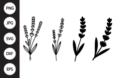 Lavender Botanical SVG, Lavender Botanical Clipart Product Image 1