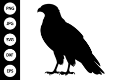 Hawk Bird SVG Product Image 1