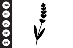 Lavender Botanical SVG Product Image 1