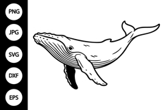 Whale Outline SVG, Coloring Page Product Image 1