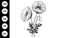 Outline Poppy Flower SVG, Coloring Page Product Image 1