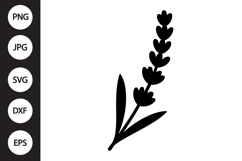 Lavender Botanical SVG Product Image 1