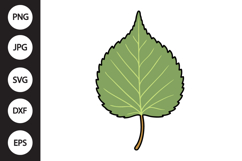 Birch Leaf SVG Product Image 1
