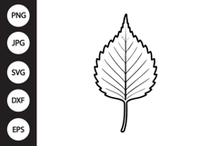 Birch Leaf SVG Product Image 1