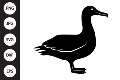 Albatross Bird SVG Product Image 1