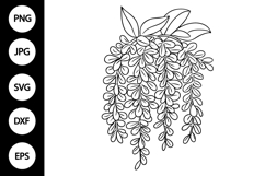 Outline Wisteria Flower SVG Product Image 1