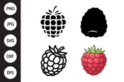 Raspberry SVG, Raspberry Clipart Product Image 1