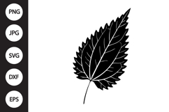 Nettle Leaf SVG Product Image 1