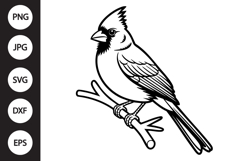 Cardinal Outline SVG, Coloring Page Product Image 1