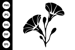 Silhouette Morning Glory Flower SVG Product Image 1