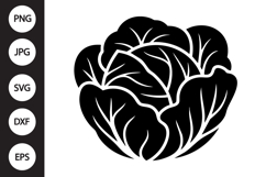 Cabbage SVG Product Image 1