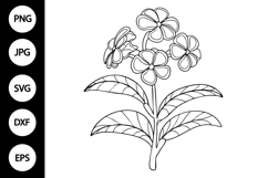 Outline Jasmine Flower SVG, Coloring Page Product Image 1