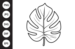 Monstera Leaf SVG Product Image 1