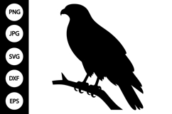 Hawk Bird SVG Product Image 1