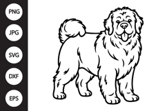 Newfoundland Dog SVG Product Image 1