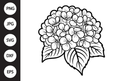 Hydrangea SVG Product Image 1