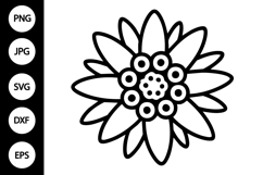 Edelweiss Flower SVG Product Image 1