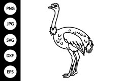 Outline Doodle Ostrich SVG, Coloring Page Product Image 1